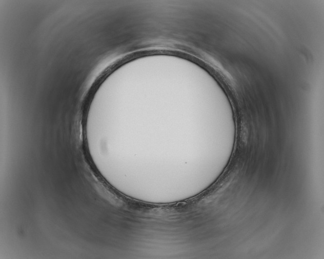 X0000111491368200908111214