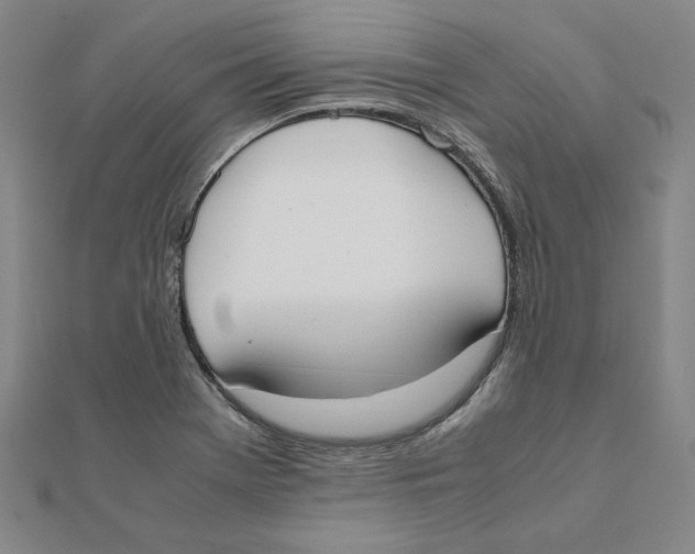 X0000111491369200908111214