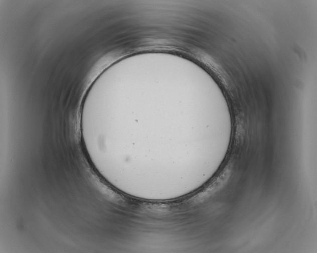 X0000111491370200908111214