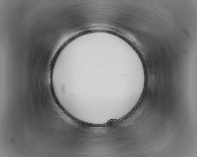 X0000111491376200908111214
