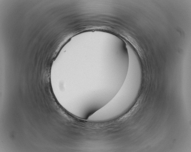 X0000111491377200908111214