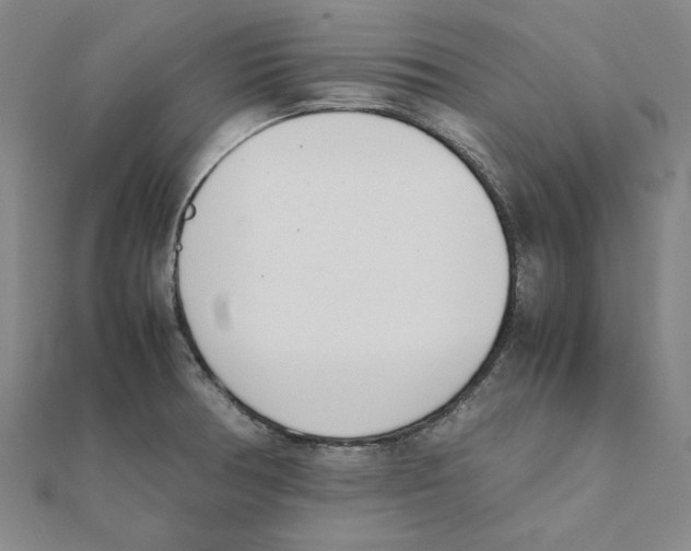 X0000111491378200908111214