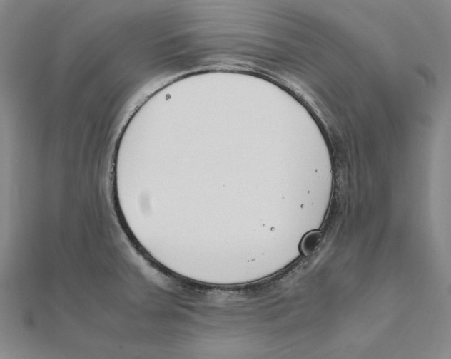X0000111491379200908111214