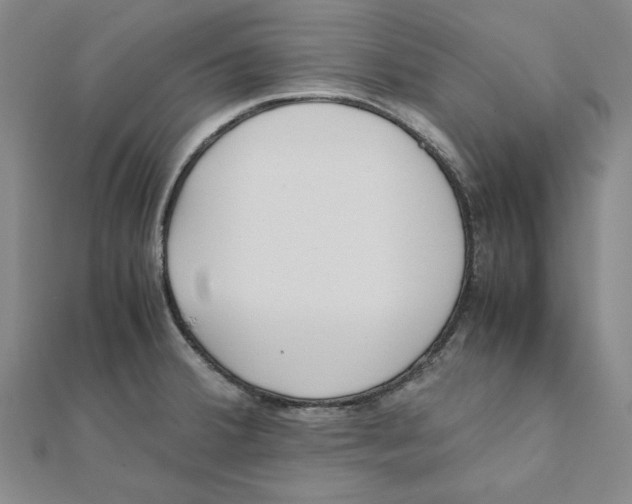 X0000111491380200908111214