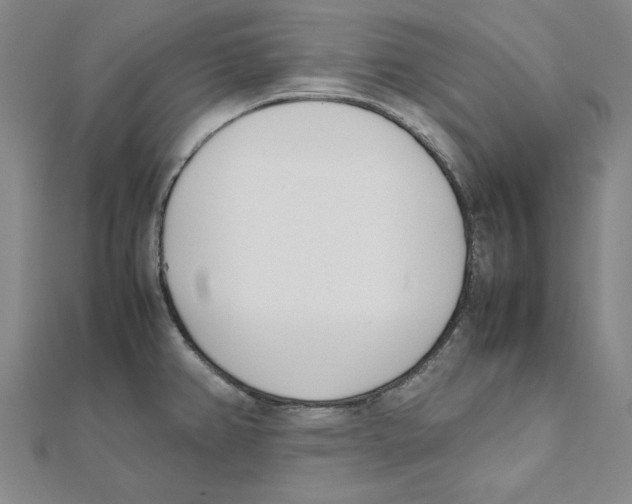 X0000111491382200908111214