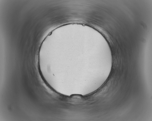 X0000111491383200908111214