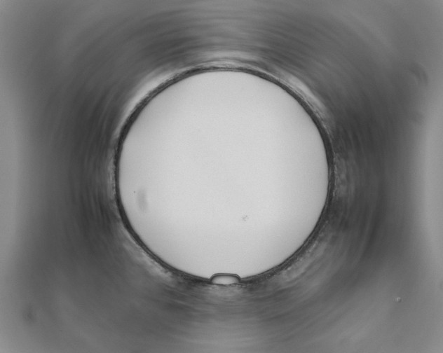 X0000111491384200908111214