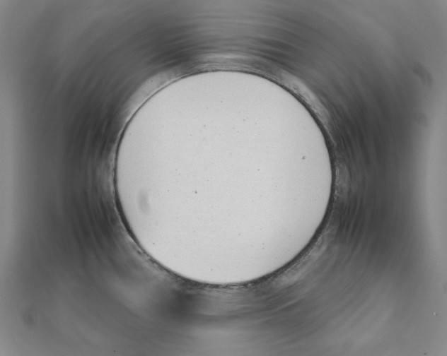 X0000111491386200908111214