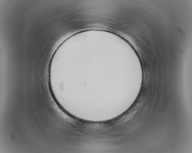 X0000111491387200908111214