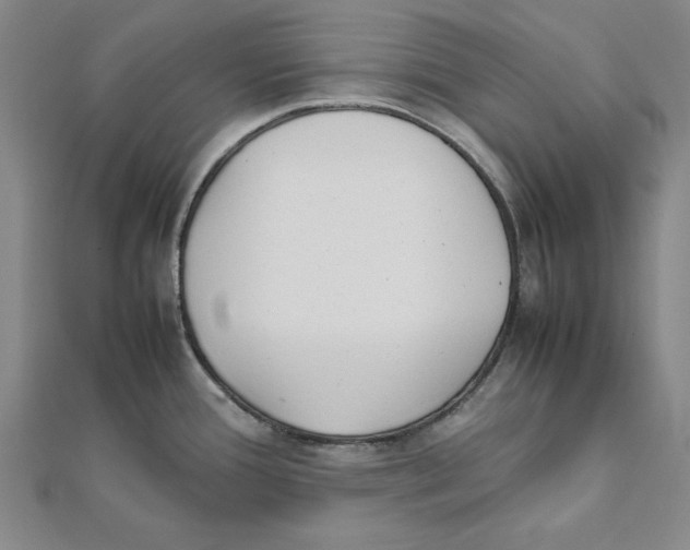 X0000111491388200908111214