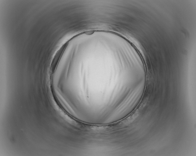 X0000111491389200908111214