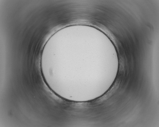 X0000111491390200908111214
