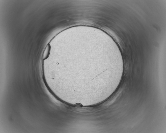 X0000111491391200908111214