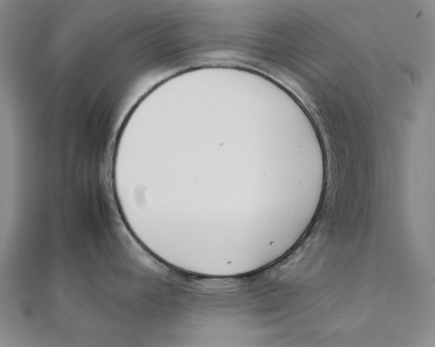 X0000111491392200908111214