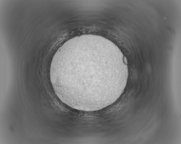 X0000111491393200908111213