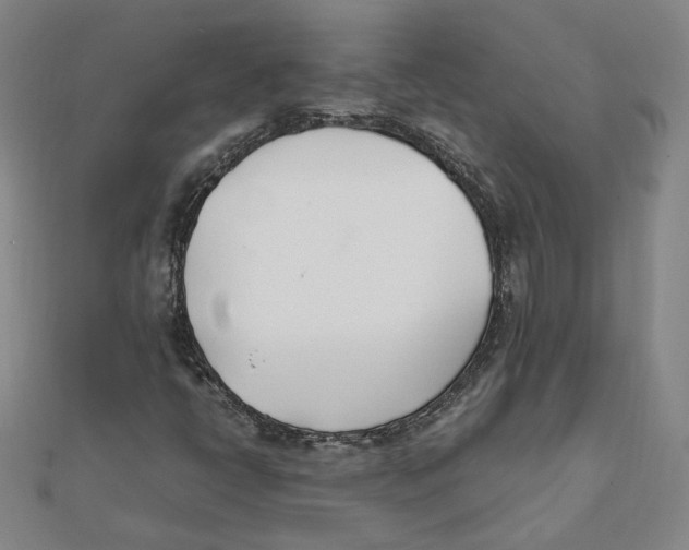 X0000111491398200908111213