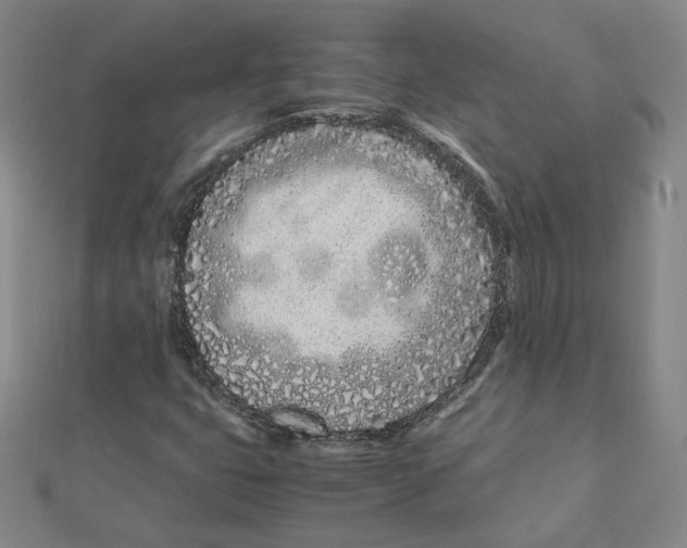 X0000111491399200908111213