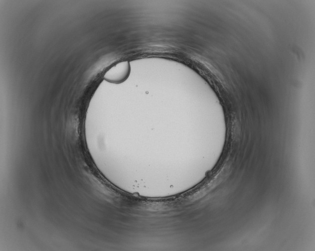 X0000111491402200908111213