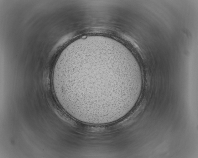 X0000111491403200908111213