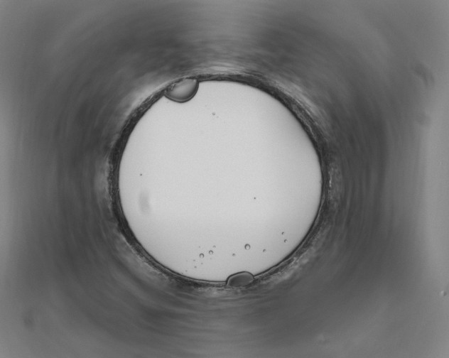 X0000111491404200908111213