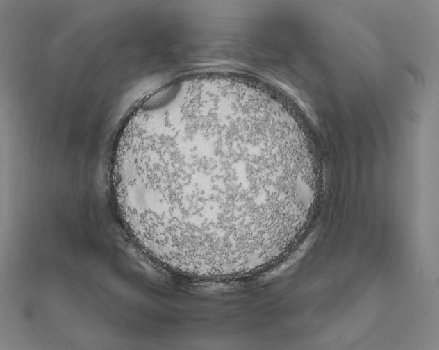 X0000111491405200908111213