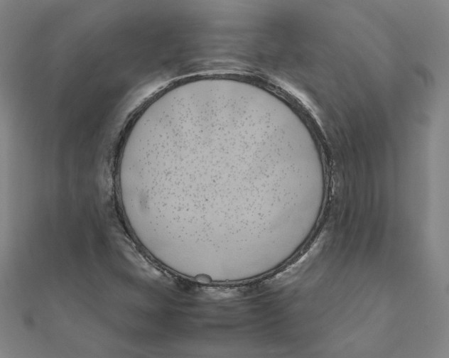 X0000111491407200908111213