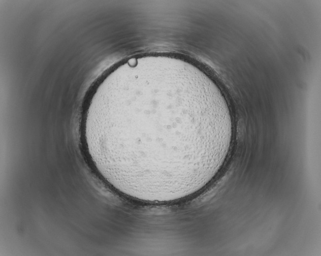 X0000111491410200908111213