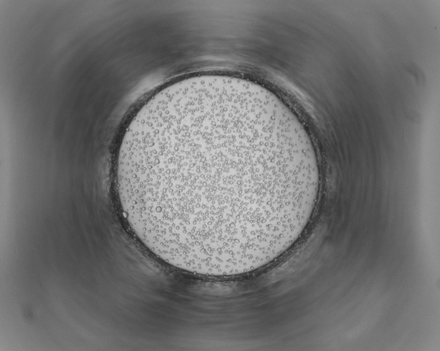 X0000111491411200908111213