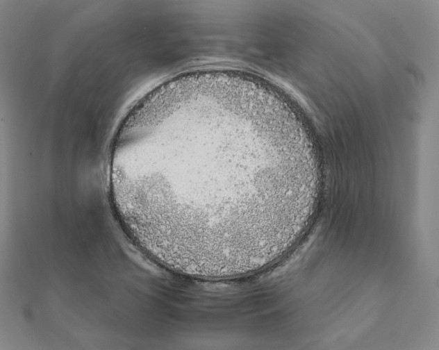 X0000111491413200908111213