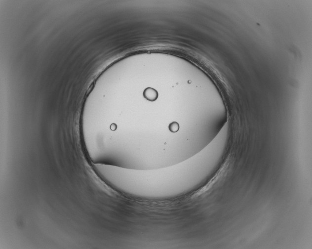 X0000111491417200908111214