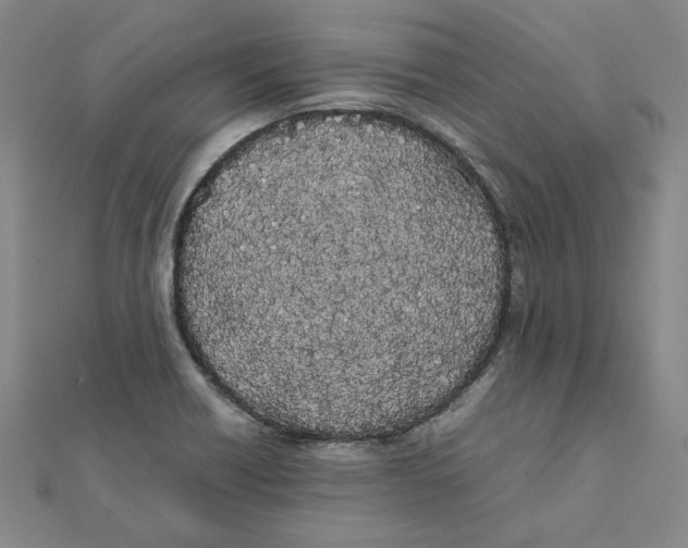 X0000111491418200908111214