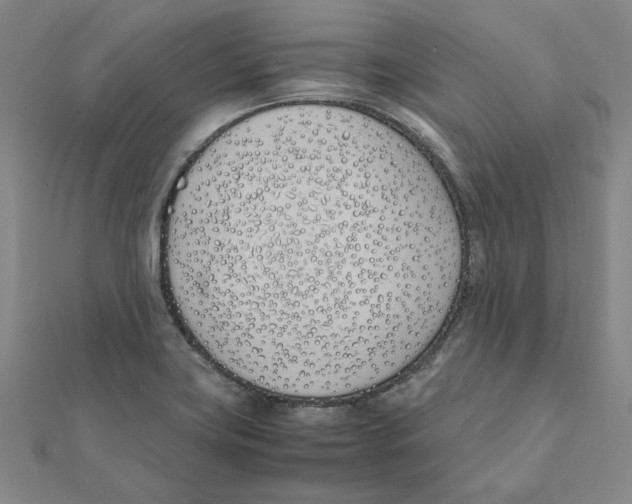 X0000111491419200908111214