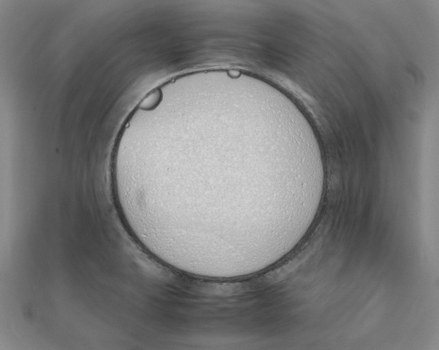 X0000111491423200908111214