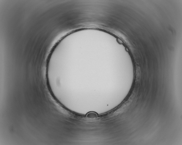 X0000111491424200908111214