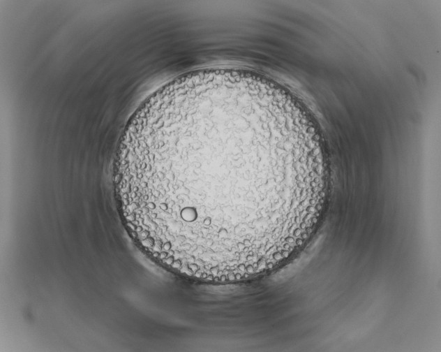 X0000111491425200908111214