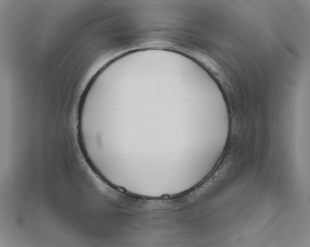 X0000111491430200908111214