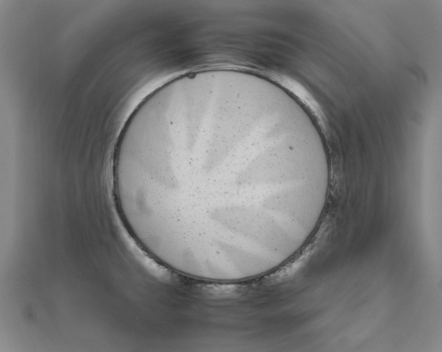 X0000111491431200908111214