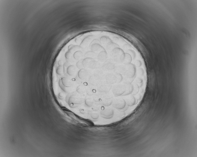 X0000111491432200908111214