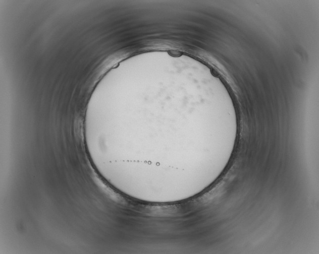 X0000111491433200908111214