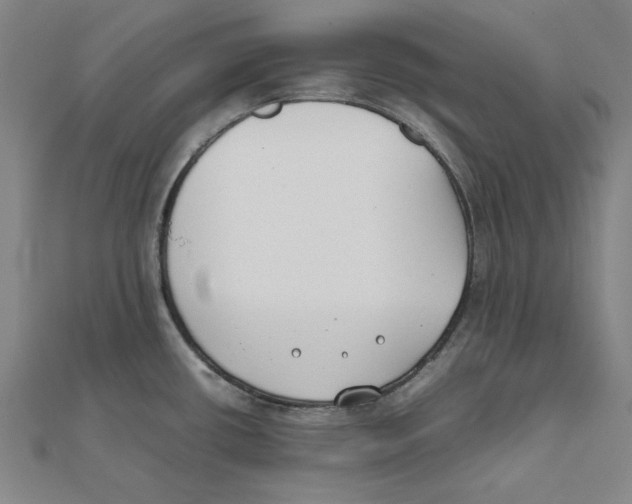 X0000111491434200908111214