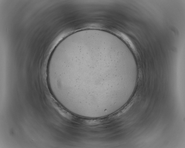 X0000111491435200908111214