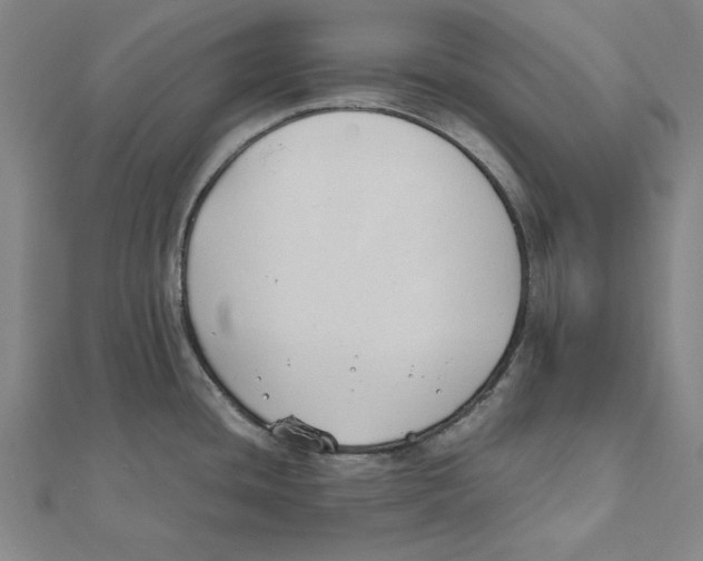 X0000111491436200908111214