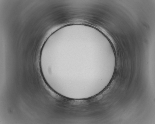 X0000111491437200908111214