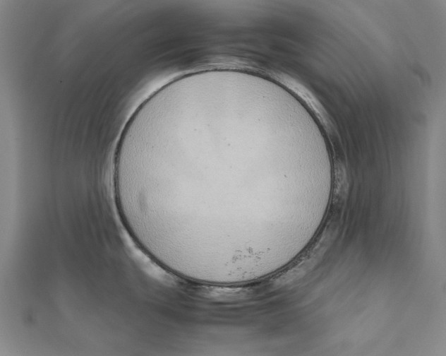 X0000111491439200908111214