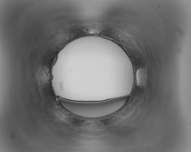 X0000111491443200908111213