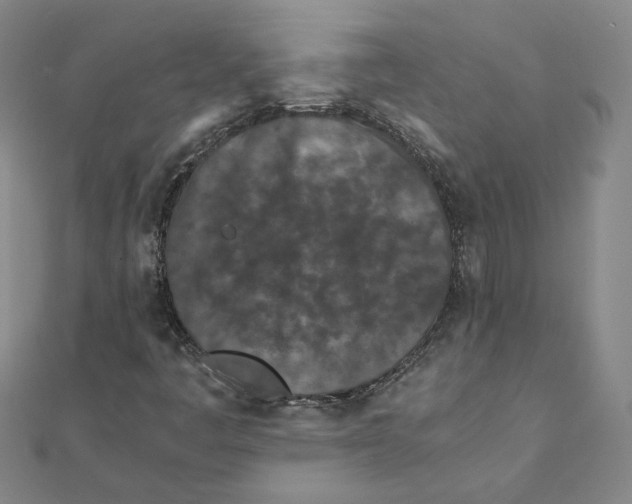 X0000111491445200908111213