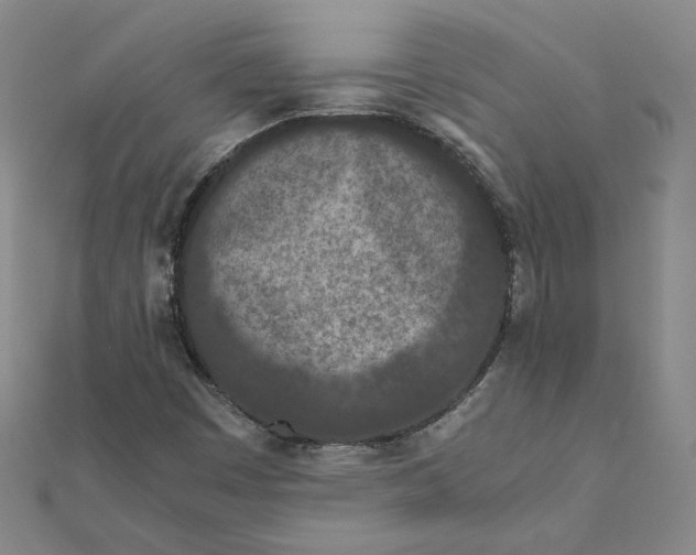 X0000111491449200908111213