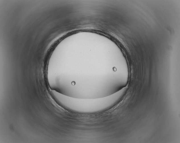 X0000111491452200908111213