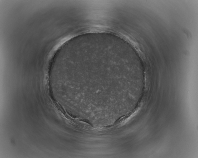 X0000111491453200908111213