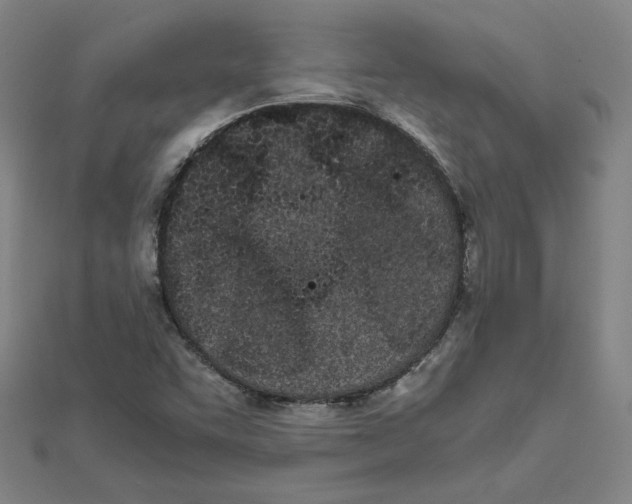 X0000111491455200908111213